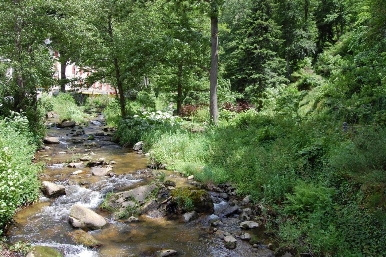 Notre-Dame D'Escouloubre Sources D'Eaux Chaudes Privees Et Sauna Экстерьер фото